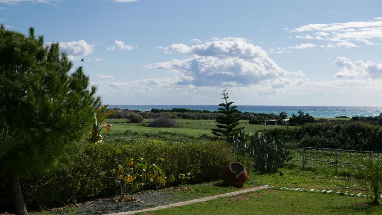 Casa Vacanze Baciata Agios Theodoros Eksteriør billede